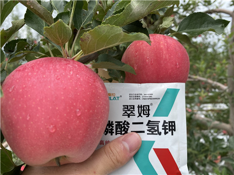 高鉀水溶肥，磷酸二氫鉀，拉姆拉，翠姆