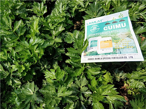 高鉀水溶肥，磷酸二氫鉀，拉姆拉，翠姆