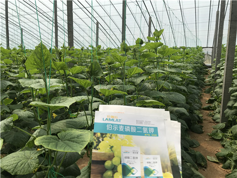 水溶肥，拉姆拉