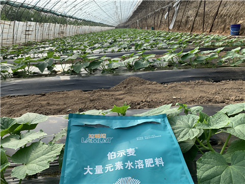 水溶肥，拉姆拉