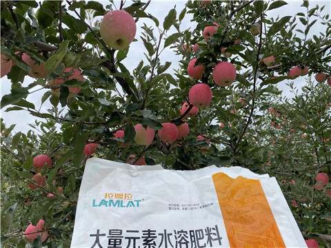 進(jìn)口水溶肥品牌，拉姆拉，翠姆