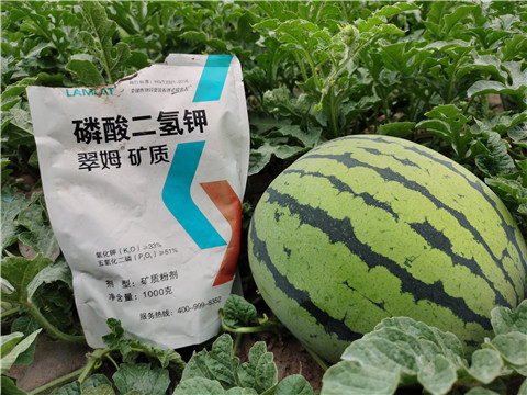 進口水溶肥，翠姆，拉姆拉