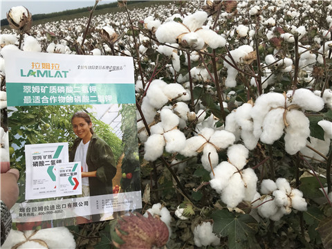 進口水溶肥，翠姆，拉姆拉