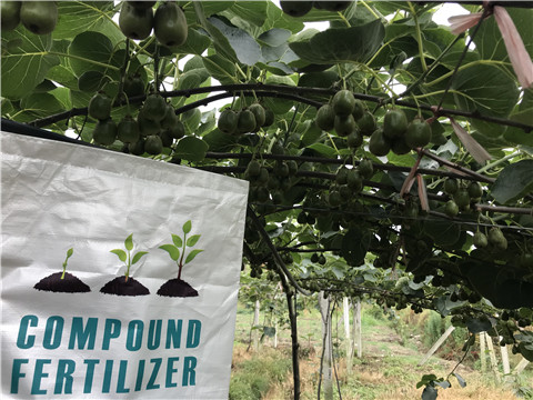 水溶肥，拉姆拉