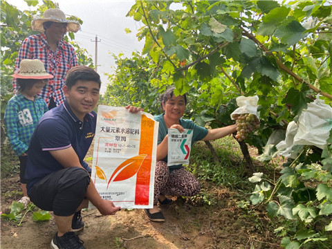 進口水溶肥，拉姆拉