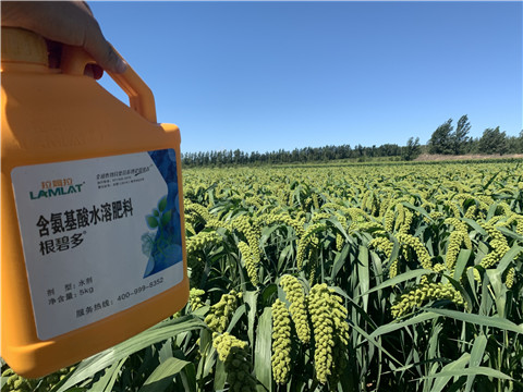 磷酸二氫鉀，拉姆拉，翠姆