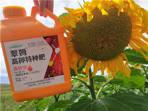 進口水溶肥，拉姆拉