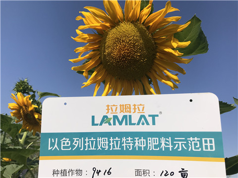 進口水溶肥，拉姆拉