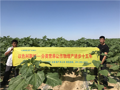 進口水溶肥，拉姆拉