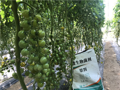 微生物菌劑，磷酸二氫鉀，翠姆，拉姆拉