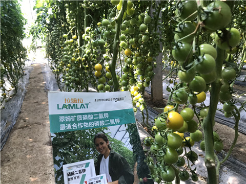 微生物菌劑，磷酸二氫鉀，翠姆，拉姆拉