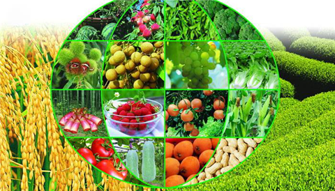 水溶肥，拉姆拉，翠姆