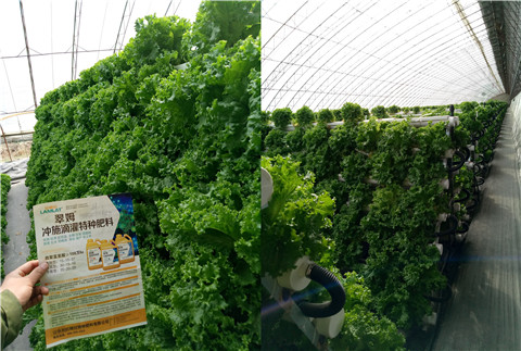 水溶肥，拉姆拉，翠姆