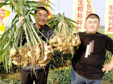 水溶肥，翠姆，拉姆拉