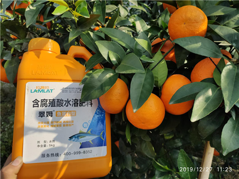 水溶肥，翠姆，拉姆拉