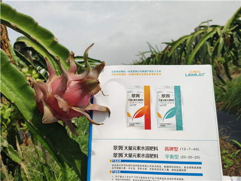 進(jìn)口水溶肥，拉姆拉，翠姆