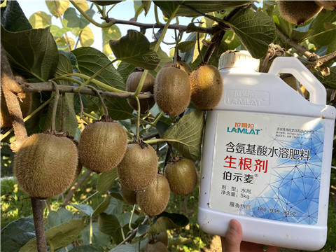 水溶肥，拉姆拉