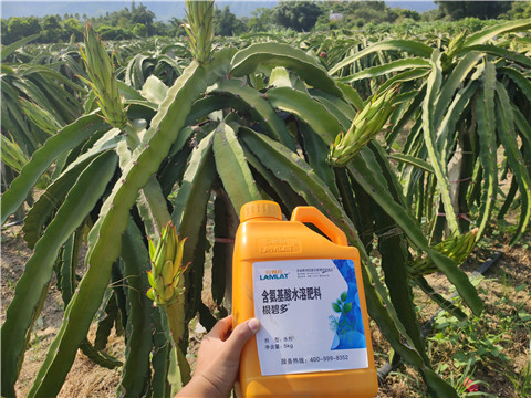 水溶肥，拉姆拉，翠姆