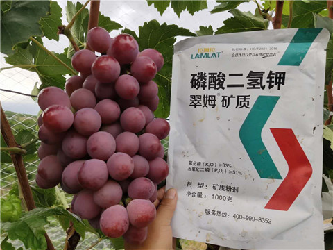 進(jìn)口水溶肥，拉姆拉，翠姆