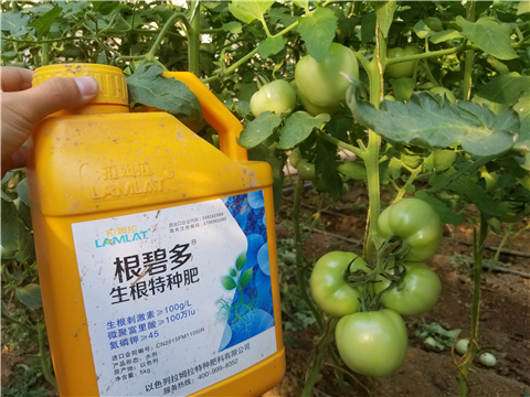 葉面肥，磷酸二氫鉀，微生物菌劑，翠姆，拉姆拉