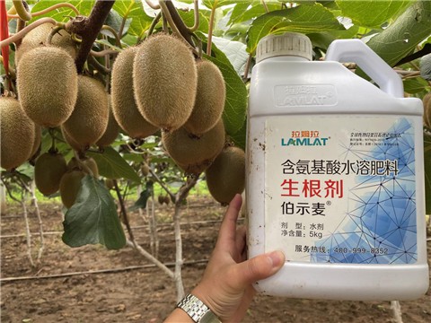 水溶肥，生根劑，微生物菌劑，伯示麥，拉姆拉