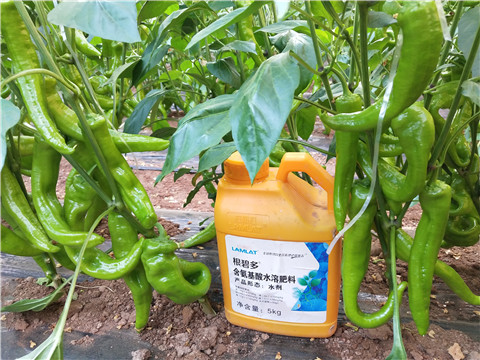 水溶肥，拉姆拉