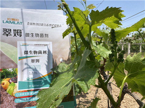 微生物菌劑，拉姆拉，翠姆