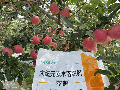 水溶肥，大量元素水溶肥，翠姆，拉姆拉