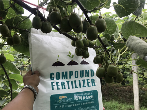 顆粒水溶肥，拉姆拉，翠姆