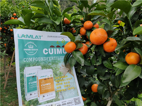 顆粒水溶肥，拉姆拉，翠姆