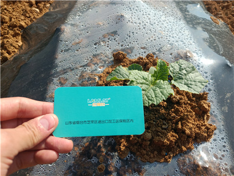 水溶肥，拉姆拉