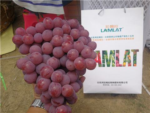 葉面肥，磷酸二氫鉀，鈣肥，翠姆，拉姆拉