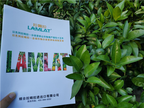 水溶肥，拉姆拉，翠姆