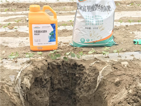 水溶肥，拉姆拉，翠姆