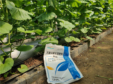 大量元素水溶肥，拉姆拉，翠姆