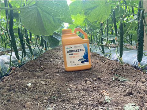 水溶肥，拉姆拉，翠姆