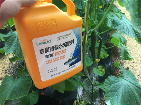 滴灌肥，拉姆拉，翠姆