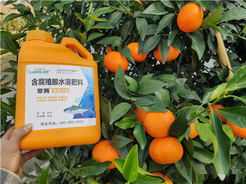 滴灌肥，拉姆拉，翠姆