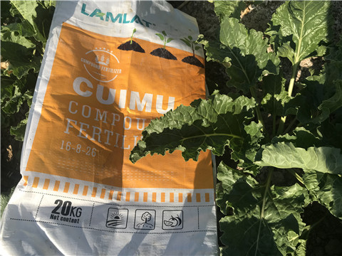 顆粒水溶肥，拉姆拉，翠姆