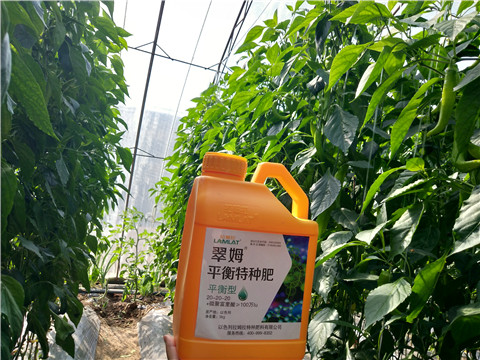 滴灌肥，拉姆拉，翠姆