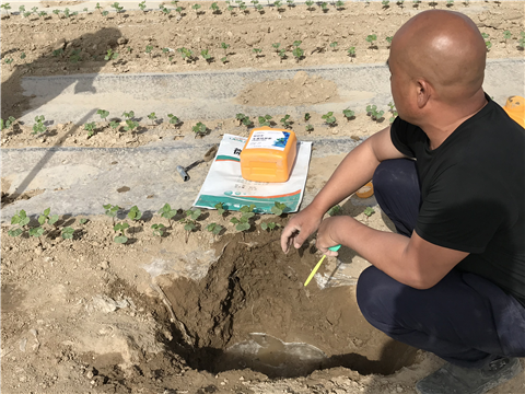 水溶肥，拉姆拉，翠姆