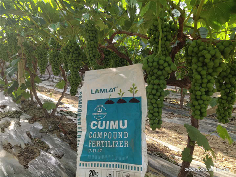 水溶肥，拉姆拉，翠姆