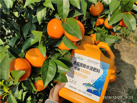 水溶肥，拉姆拉，翠姆