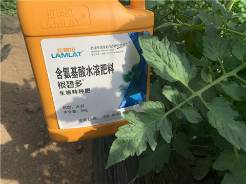 水溶肥，拉姆拉，翠姆