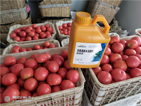 水溶肥，拉姆拉，翠姆