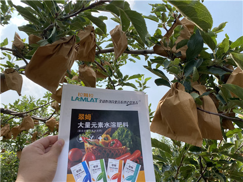 大量元素水溶肥，拉姆拉，翠姆