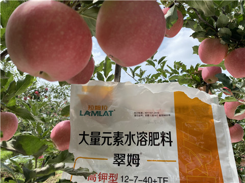 大量元素水溶肥，拉姆拉，翠姆