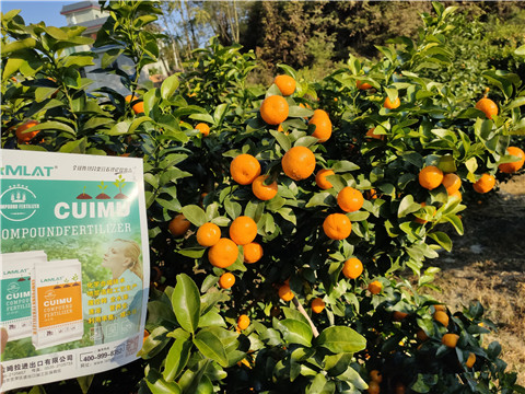 進(jìn)口水溶肥，拉姆拉，翠姆