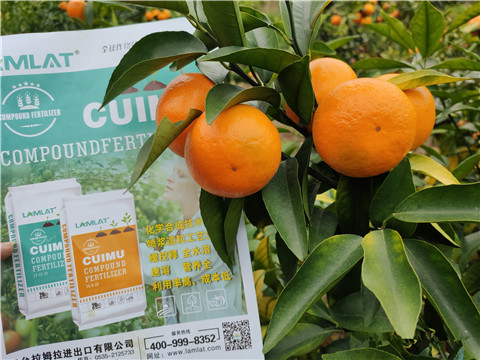 顆粒水溶肥，拉姆拉，翠姆