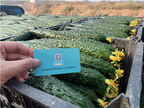 水溶肥，拉姆拉，伯示麥